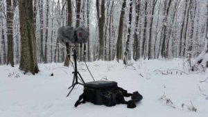 Field Recording Guide